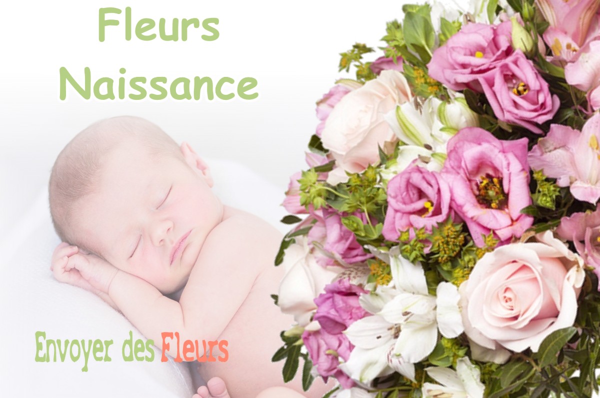 lIVRAISON FLEURS NAISSANCE à QUINT-FONSEGRIVES